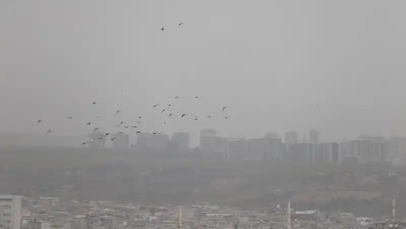 Şanlıurfa'da Görüş Mesafesi Sıfıra İndi: Toz Bulutu Hayatı Felç Etti