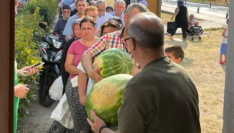 Bedava Sebze Dağıtımı: Hasat Sezonunda Tarlada Kalan Ürünler