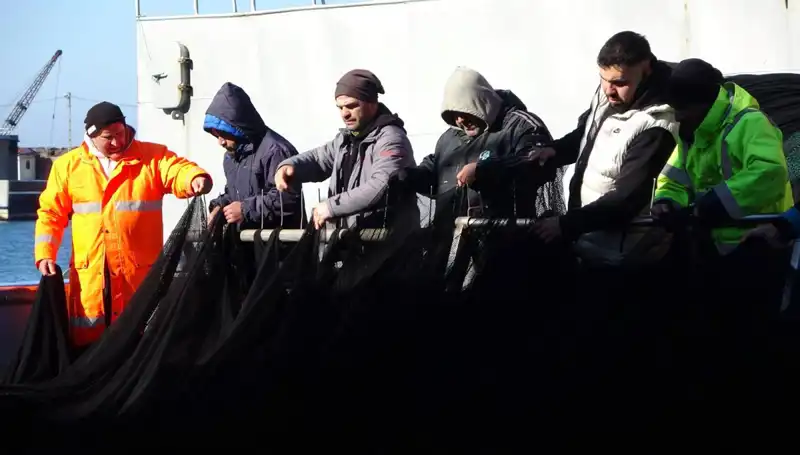 Denizlerde Hamsi Avı Son Buldu: Balıkçılar Erken Paydos Dedi