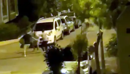 Avcılar'da Üç Kişinin Saldırısına Uğrayan Vatandaşı Halk Kurtardı: Olay Anı!