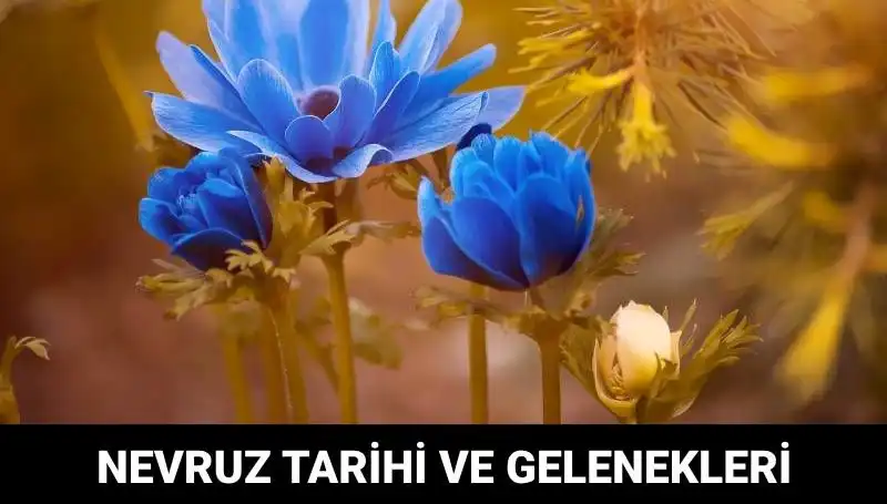 Nevruz Bayramı: Zengin Gelenekleri ve Kutlama Tarihleri ile Yenilenen Umutlar