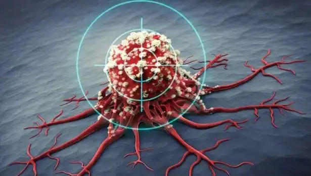 Prostat Kanseriyle Mücadelede Etkili 6 Besin Bilimsel Olarak Kanıtlandı